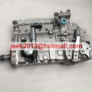 13053063 FUEL INJECTION PUMP FOR WEICHAI WP6 ENGINE B6AD548G-R BH6PN120R