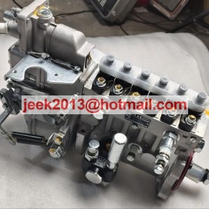 612601080844 BHT6P120R FUEL INJECTION PUMP FOR WEICHAI WD10 ENGINE
