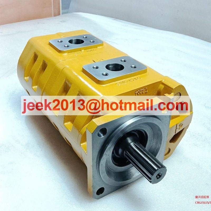 9G668-56A020000Z0 GEAR PUMP FOR LOVOL FL966H WHEEL LOADER CBGj31153100AR01-R